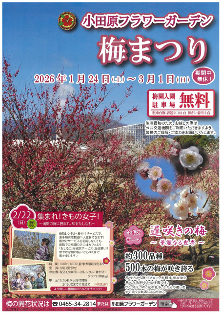 小田原フラワーガーデン　梅まつり